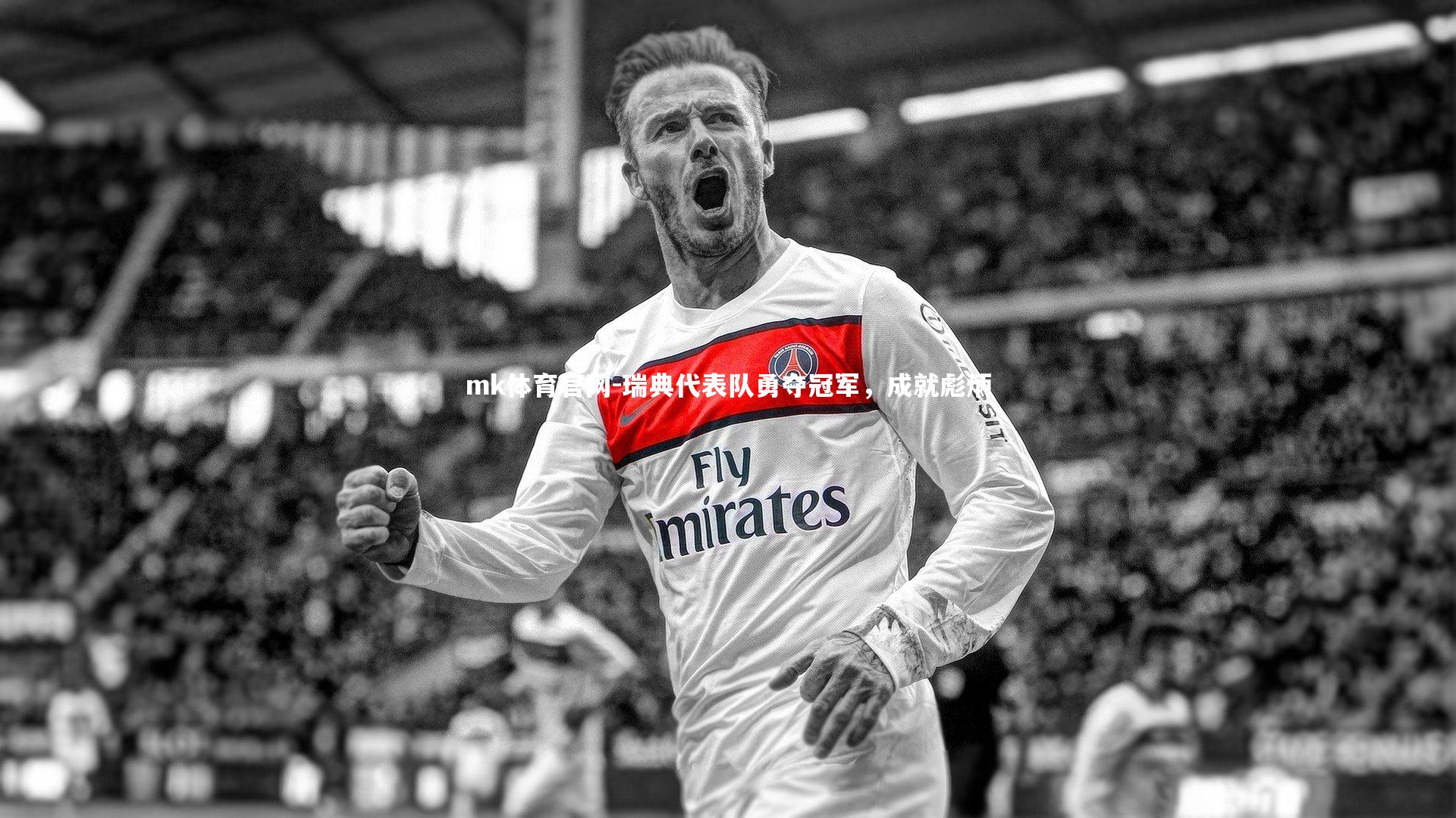 瑞典代表队勇夺冠军,成就彪炳